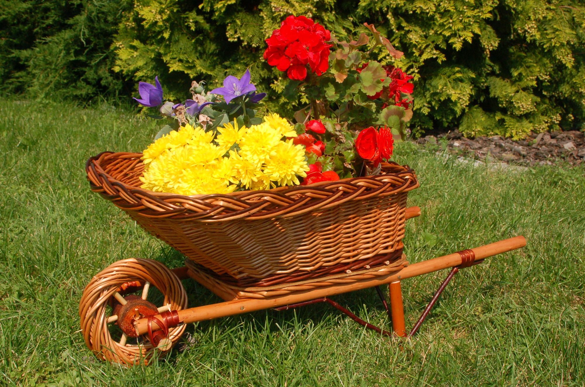 Schubkarre in Korbgeflecht, Rattan, Körbe, Pflanzkorb, Pflanzkarre, Weide, 65 cm