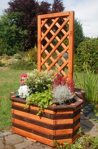 Pflanzkasten, Blumenkasten, Blumenkübel aus massivem Holz mit schön gearbeiteter Pergola, für den Garten - Ansicht 4